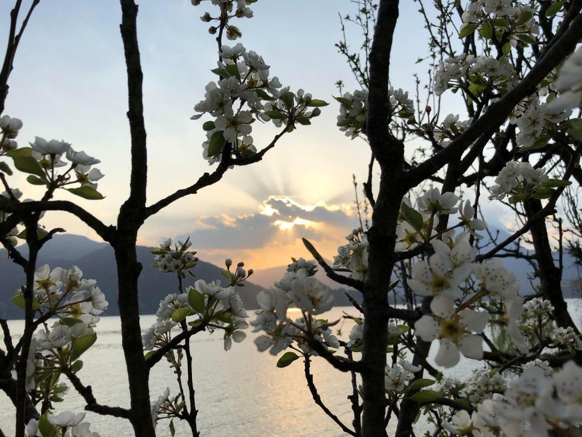 La Casetta Varenna Ngoại thất bức ảnh